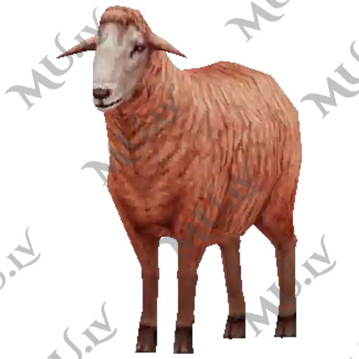 Red Goat