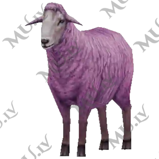 Purple Goat