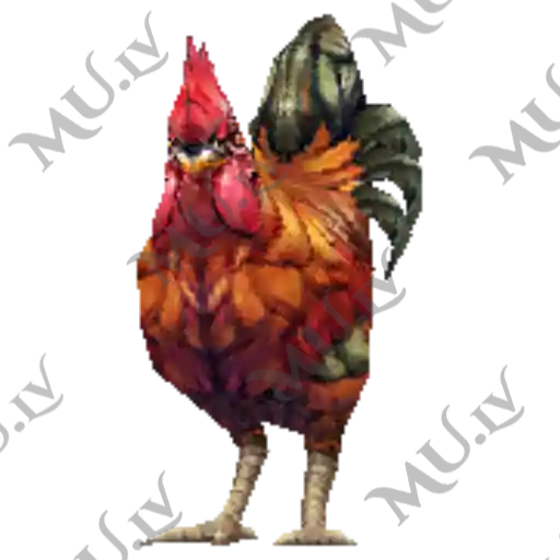 Chicken